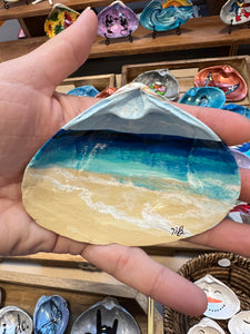 Beach shell