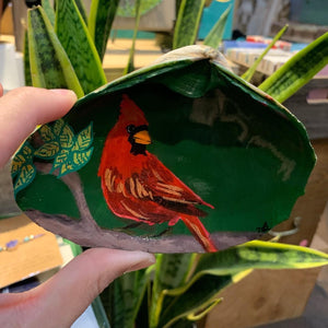 Cardinal Shell (hand painted)