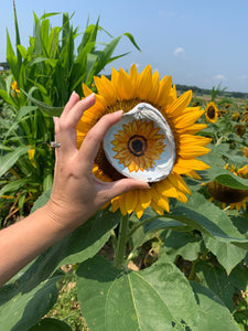 Sunflower hand painted small shells