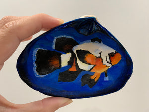Designer Clown Fish Shell (hand painted)